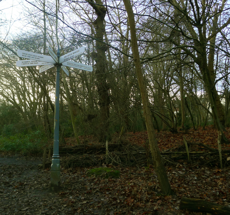 Signpost 7