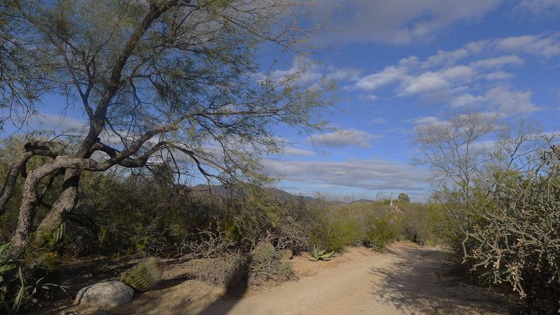  winter day in the desert