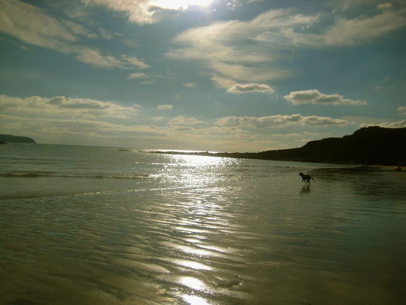 Tilly on the south Devon coast
