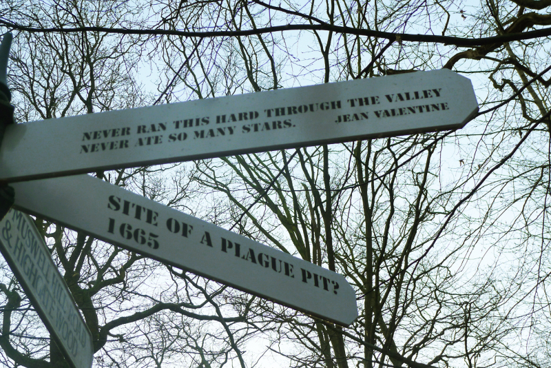 Signpost 6